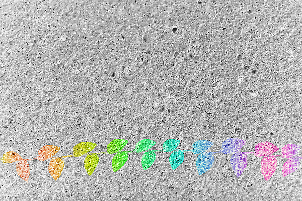 포토 JPG 해외이미지 나무 식물 디자인 벽 줄기 백그라운드 잎 패턴 건축양식 자연 벽지 추상 바닥 사람없음 야외 장식 가로 빨간색 초록색 노란색 우주 정원 봄 흰색 신선 얼룩 거친 질감 데이지 시멘트 내추럴 옛날 콘크리트 해외포토 계절 건축 꽃 컬러 무늬 생태계 파일형식 이미지허브