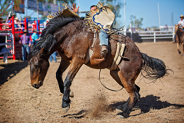 포토 JPG 해외이미지 주간 전신 남자 두마리 앉기 성인 야외 두명 아웃포커스 말_동물 승마 카우보이 카우보이모자 카우보이복장 성인남자만 해외포토 자연요소 모자_잡화 옷 스포츠 2 포유류 모션 촬영기법 사람 남자만 성인만 파일형식 이미지허브