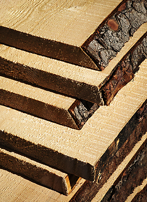 포토 JPG 해외이미지 나무 디자인 산업 백그라운드 패턴 자연 하늘 표면 추상 사람없음 야외 목재 갈색 노란색 쌓기 소나무 거친 널 숲 자르기 묘사 질감 나무껍질 잡동사니 내추럴 그런지 수목 가문비나무 해외포토 식물 컬러 무늬 재료 모션 껍질 생태계 파일형식 이미지허브