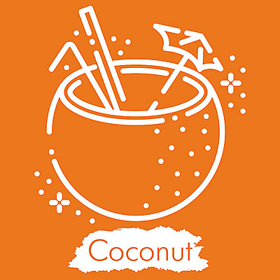 포토 JPG 해외이미지 디자인 계절 선 모래 파도 바다 섬 여행 일러스트 휴가 휴식 미술 취미 해변 사람없음 야외 그래픽 수확 뜨거움 화려 낙서 스케치 심볼 오브젝트 사인 그림 윤곽 코코넛 고립 엘리먼트 스타일 해외일러스트 컨셉 농업 과일 문화예술 파일형식 이미지허브