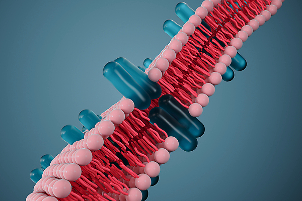 JPG 해외이미지 의학 세포 사람없음 파란색 3D 세포막 해외포토 포토 컬러 디지털합성 파일형식 이미지허브