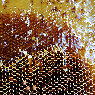 포토 JPG 해외이미지 모양 동물 라이프스타일 음식 곤충 백그라운드 패턴 자연 프레임 세포 사람없음 약 노란색 머리빗 업무 황금 달콤 꿀벌 벌 묘사 질감 바쁨 꽃가루 육각형 꿀 고무 여왕 벌집 내추럴 고립 밀랍 양봉 양봉장 어려움 왁스 진짜 폴리곤 해외포토 도형 컬러 무늬 의학 생활 미용용품 작업 맛 벌_곤충 가루 생태계 파일형식 이미지허브