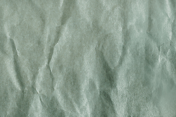 포토 JPG 해외이미지 템플릿 디자인 종이 벽 백그라운드 잎 패턴 표면 날씨 추상 미술 사람없음 그래픽 장식 가로 갈색 우주 공백 수확 골동품 덮개 시골 거친 그리기 포장지 질감 복고 캔버스 먼지 스크래치 찢어짐 고립 구김 그런지 엘리먼트 옛날 접기 스타일 해외포토 식물 컬러 무늬 농업 포장 모션 문화예술 뚜껑 파일형식 이미지허브