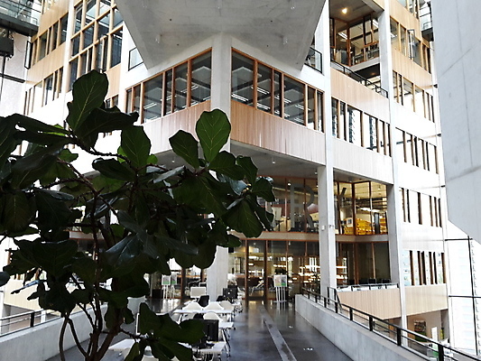 포토 JPG 해외이미지 음식 농업 비즈니스 건축양식 사람 사람없음 건물 반사 자전거 도시 시장 모서리 냄비 네덜란드 대학교 정사각형 광장 미로 시청 지도책 포럼 해외포토 도형 건축물 건축 유럽 산업 학교 책 바이크 솥 토론 관공서 파일형식 이미지허브