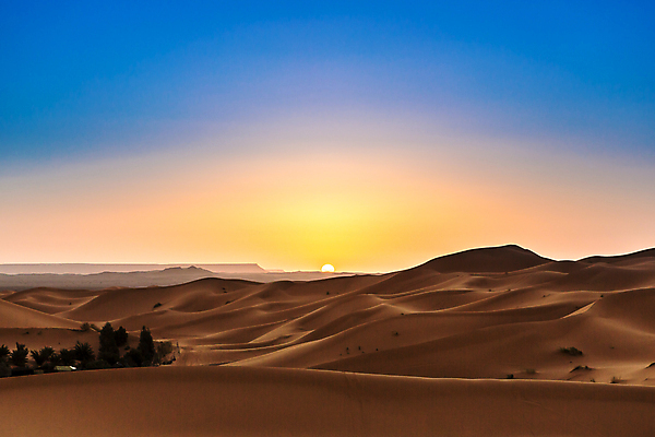 포토 JPG 해외이미지 모래 여행 백그라운드 오렌지 아프리카 자연 하늘 건조 풍경 사람없음 야외 노란색 일몰 사막 뜨거움 모래언덕 언덕 낙타 모로코 사하라 아랍어 카라반 해외포토 나라 컬러 과일 포유류 노을 생태계 캠핑카 파일형식 이미지허브