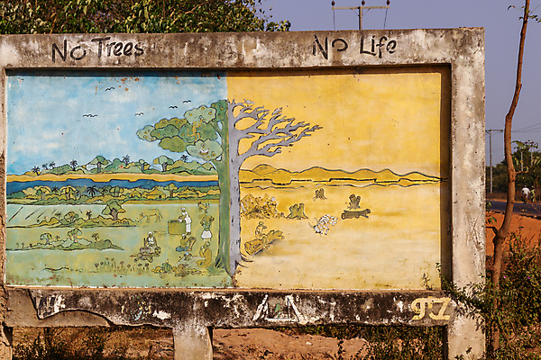 포토 JPG 해외이미지 나무 교육 아프리카 자연 건조 사람없음 목재 환경 사인 에코 옛날 핸드메이드 해외포토 식물 나라 재료 생태계 파일형식 이미지허브