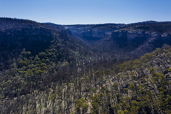 포토 JPG 해외이미지 나무 공원 여행 잎 밭 자연 불 산 안테나 풍경 사람없음 야외 초록색 환경 골짜기 계곡 시골 호주 숲 땅 언덕 드론 삼림지대 치유 화상 해외포토 자연요소 식물 공공시설 컬러 농업 통신 오세아니아 상처 생태계 파일형식 이미지허브