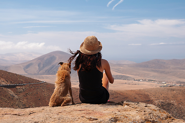 포토 JPG 해외이미지 동물 라이프스타일 여자 청소년 자연 하늘 휴식 산 한명 사람 앉기 풍경 성인 야외 여름 반려동물 자유 해외포토 1 계절 컨셉 모션 생활 생태계 파일형식 이미지허브