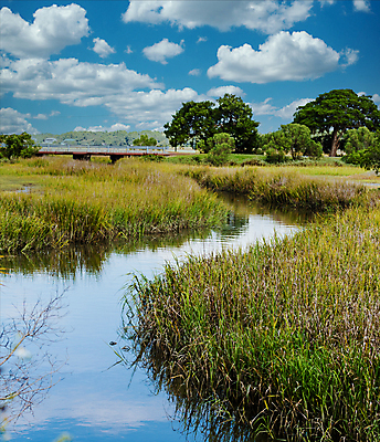 포토 JPG 해외이미지 나무 식물 공원 여행 자연 풍경 사람없음 야외 초록색 물 강 젖음 시골 황무지 습지 내추럴 변소 해외포토 자연요소 공공시설 컬러 생태계 파일형식 이미지허브
