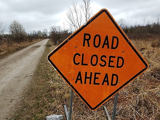 포토 JPG 해외이미지 나무 식물 도로 길 오렌지 자국 자연 잔디 사람없음 야외 갈색 잠김 사인 먼지 해외포토 컬러 과일 교통시설 생태계 파일형식 이미지허브
