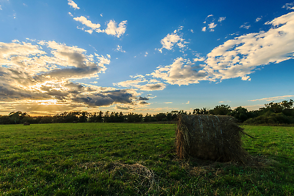 포토 JPG 해외이미지 구름 계절 밭 농업 자연 하늘 아침 건조 풍경 사람없음 야외 초록색 여름 파란색 햇빛 태양 농장 농경지 노란색 쌓기 일출 일몰 수확 가을 시골 건초더미 볏짚 저녁 시리얼 밀 밀짚 해외포토 주간 자연요소 산업 음식 컬러 모션 곡류 노을 건초 짚 야간 생태계 파일형식 더미 이미지허브