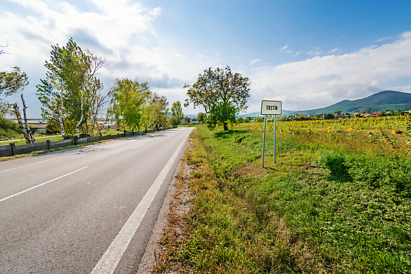 포토 JPG 해외이미지 나무 백그라운드 밭 하늘 해바라기 산 사람없음 초록색 태양 마을 슬로바키아 해외포토 자연요소 식물 꽃 유럽 컬러 농업 파일형식 이미지허브