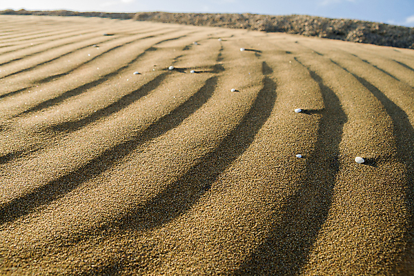 포토 JPG 해외이미지 선 모래 파도 백그라운드 자연 건조 사람없음 야외 여름 모래사장 갈색 노란색 사막 모래언덕 묘사 만족 질감 사하라 해외포토 계절 감정 바다 컬러 아프리카 언덕 생태계 파일형식 이미지허브