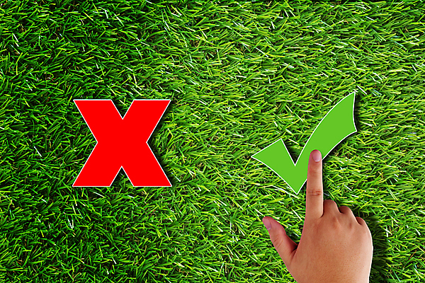 포토 JPG 해외이미지 아이콘 직업 길 여행 백그라운드 컨셉 십자가 비즈니스 성공 미래 잔디 사람없음 빨간색 초록색 터치 도전 변화 선택 계획 질문 방향 심볼 체크표시 사인 기회 만들기 문제 해결 진행 대답 방법 잘못 조언 혼란 해외포토 식물 컬러 모션 확인 파일형식 이미지허브