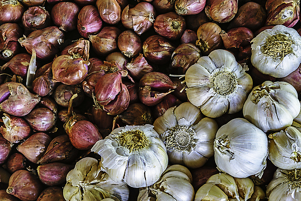 포토 JPG 해외이미지 식물 접시 음식 백그라운드 채소 재료 전구 자연 양파 건조 건강 마늘 요리 사람없음 빨간색 우주 흰색 신선 그룹 먹기 묘사 오브젝트 유기농 질감 날것 내추럴 숙성 채식주의자 해외포토 식기 웰빙 컬러 모션 생태계 채식 파일형식 이미지허브