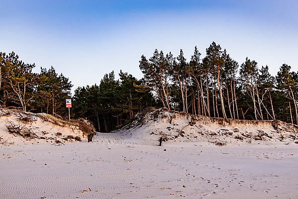 포토 JPG 해외이미지 나무 식물 모래 바다 여행 백그라운드 하늘 휴가 풍경 사람없음 흰색 내추럴 해외포토 컬러 파일형식 이미지허브