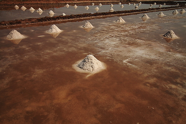 포토 JPG 해외이미지 아시아 자연 사람없음 야외 캄보디아 수평선 해외포토 나라 생태계 파일형식 이미지허브