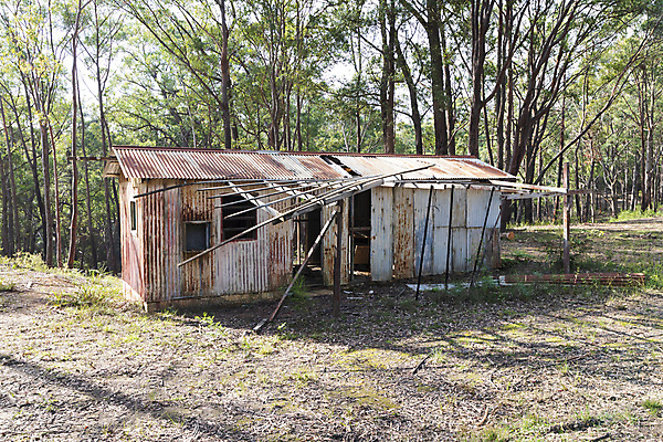 포토 JPG 해외이미지 나무 식물 공원 야생동물 여행 잎 자연 지붕 주택 국립공원 풍경 사람없음 야외 건물 목재 초록색 갈색 환경 손상 나뭇가지 시골 호주 숲 지역 내추럴 깨짐 삼림지대 선로 옛날 오지 해외포토 동물 건축물 공공시설 컬러 컨셉 재료 오세아니아 생태계 파일형식 이미지허브