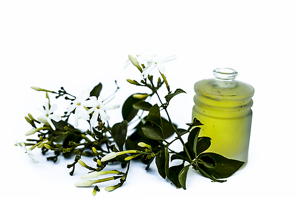 포토 JPG 해외이미지 식물 꽃 음식 백그라운드 재료 휴식 건강 요리 사람없음 초록색 약 노란색 젖음 흐름 벚꽃 마사지 액체 사발 황금 붓기 닫기 인도인 지중해 먹기 허브 향기 아로마테라피 내추럴 백리향 해외포토 외국인 바다 컬러 컨셉 의학 모션 동양인 사기그릇 냄새 테라피 파일형식 이미지허브