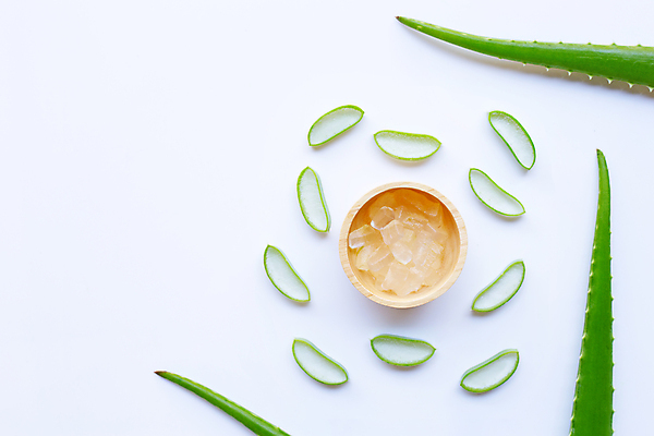 포토 JPG 해외이미지 스튜디오촬영 단면 실내 사람없음 하이앵글 흰배경 나무그릇 알로에 해외포토 식물 그릇 뷰포인트 백그라운드 내부 목재 흰색 파일형식 이미지허브