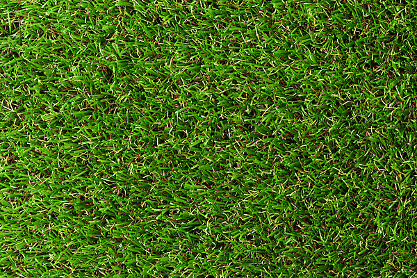 포토 JPG 해외이미지 식물 공원 스포츠 백그라운드 잎 패턴 밭 자연 벽지 놀이 표면 추상 잔디 사람없음 야외 초록색 우주 환경 정원 축구 봄 카펫 테니스 성장 신선 질감 내추럴 땅바닥 인공 해외포토 계절 공공시설 컬러 무늬 농업 바닥 구기 생태계 파일형식 이미지허브