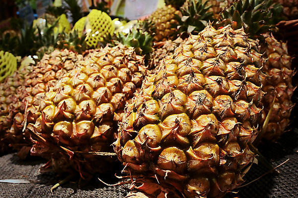 포토 JPG 해외이미지 식물 라이프스타일 음료 음식 잎 다이어트 과일 자연 디저트 선반 건강 사람없음 노란색 주스 신선 거친 시장 닫기 달콤 맛 아침식사 먹기 피부 묘사 파인애플 유기농 질감 날것 C 슈퍼마켓 내추럴 매각 숙성 어려움 이국적 해외포토 웰빙 알파벳 컬러 가구 컨셉 모션 생활 신체부위 상점 식사 열대과일 생태계 파일형식 이미지허브