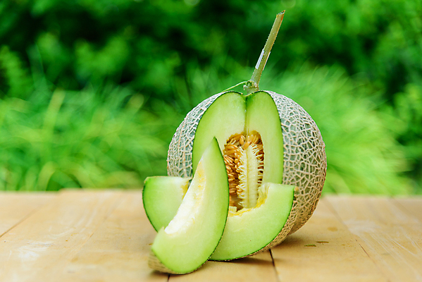 포토 JPG 해외이미지 식물 음식 조각 백그라운드 밭 다이어트 채소 오렌지 과일 수박 건강 사람없음 초록색 물 노란색 흰색 신선 달콤 멜론 자르기 싱글 유기농 원예 날것 슬라이스 내추럴 숙성 온실 채식주의자 해외포토 자연요소 웰빙 컬러 농업 모션 취미 맛 채식 파일형식 이미지허브