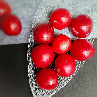 포토 JPG 해외이미지 열매 음식 백그라운드 잎 농업 다이어트 오렌지 과일 재료 자연 탁자 디저트 건강 사람없음 목재 빨간색 초록색 여름 덮개 가을 흰색 신선 체리 그룹 사발 달콤 맛 아침식사 유기농 날것 자두 내추럴 숙성 채식주의자 비건 해외포토 나무 식물 웰빙 계절 산업 컬러 가구 컨셉 식사 뚜껑 사기그릇 생태계 채식 파일형식 이미지허브