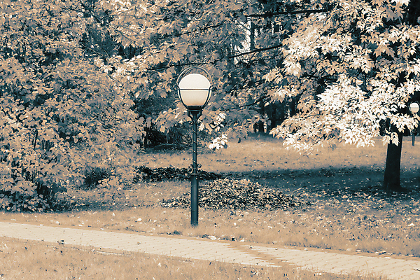 포토 JPG 해외이미지 나무 식물 계절 공원 백그라운드 잎 오렌지 자연 풍경 사람없음 야외 장식 빨간색 초록색 빛 갈색 노란색 금속 정원 가을 등불 램프 떨어짐 해외포토 공공시설 컬러 컨셉 과일 재질 조명 생태계 파일형식 이미지허브