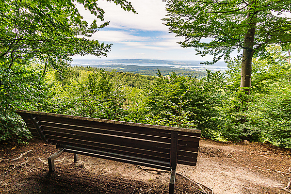 포토 JPG 해외이미지 나무 응시 계절 스포츠 여행 자국 모션 자연 휴가 휴식 거리 건강 사람없음 야외 초록색 물 여름 환경 골짜기 봄 하이킹 자유 시골 숲 배낭여행 천국 생태학 파멸 해외포토 자연요소 식물 시선 교육 컬러 컨셉 레저 생태계 파일형식 소멸 이미지허브