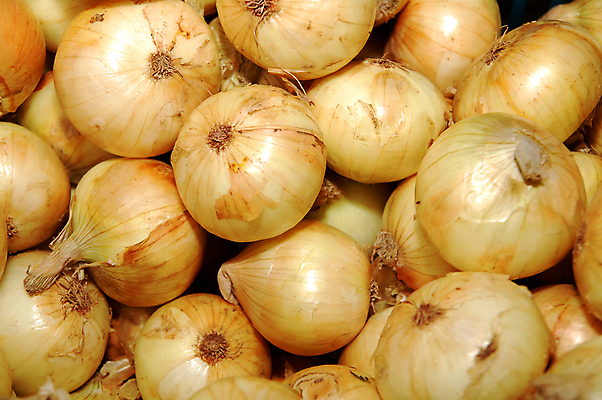 포토 JPG 해외이미지 음식 조각 채소 재료 전구 양파 사람없음 쌓기 식사 흰색 시장 맛 구매 먹기 냄새 매각 해외포토 컬러 컨셉 모션 쇼핑 파일형식 이미지허브