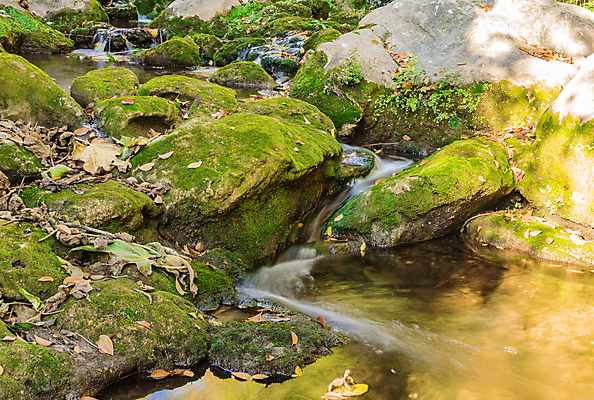 포토 JPG 해외이미지 포스터 잎 자연 벽지 산 이끼 풍경 사람없음 야외 초록색 물 여름 강 햇빛 태양 환경 봄 흐름 농촌 신선 개울 숲 명상 조경 삼림지대 스플래쉬 해외포토 자연요소 식물 계절 컬러 컨셉 시골 생태계 파일형식 이미지허브