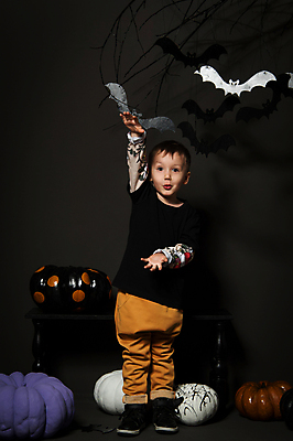 포토 JPG 해외이미지 나무 디자인 남자 행복 실루엣 어린이 백그라운드 탁자 호박 휴가 한명 미소 사람 풍경 소년 목재 장식 컬러풀 갈색 보라색 검은색 어둠 황혼 할로윈 안개 흰색 나뭇가지 축하 그리기 야간 신비 만화 장면 박쥐 박 마법 염색 해외포토 자연요소 식물 1 감정 컬러 가구 컨셉 채소 재료 포유류 모션 날씨 촬영기법 표정 일몰 파일형식 이미지허브