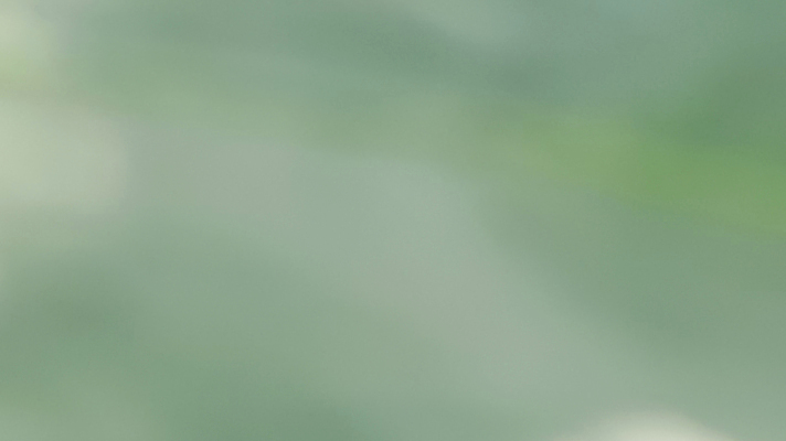 포토 JPG 해외이미지 나무 식물 템플릿 배너 계절 지구 백그라운드 잎 자연 벽지 추상 휴식 경사 사람없음 그래픽 초록색 빛 햇빛 태양 환경 정원 봄 에너지 흰색 신선 매끈함 소프트포커스 질감 보케 부드러움 개발 바이오 블러 생태학 그리너리 효과 해외포토 자연요소 교육 컬러 컨셉 무늬 촬영기법 감각 생태계 파일형식 트랜드컬러 이미지허브