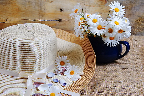 포토 JPG 해외이미지 식물 디자인 꽃잎 꽃 바다 백그라운드 컨셉 꽃무늬 패턴 밭 자연 탁자 조개 사람없음 장식 초록색 파란색 노란색 머리 정원 꽃병 봄 벚꽃 흰색 신선 데이지 꽃가루 엘리먼트 캐모마일 해외포토 계절 컬러 가구 무늬 농업 어패류 신체부위 가루 허브 생태계 파일형식 이미지허브