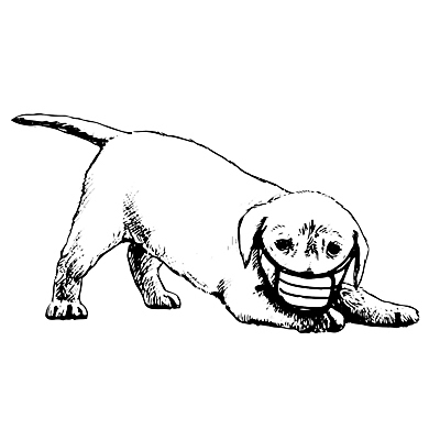 포토 JPG 해외이미지 동물 손 새끼 백그라운드 일러스트 포유류 가면 사람없음 반려동물 머리 우정 미니어처 수확 바이러스 개 강아지 질병 작음 모피 그림 송곳니 고립 기르기 복종 위기 유래 해외일러스트 농업 의학 신체부위 친구 모형 치아 크기 돌봄 파일형식 이미지허브