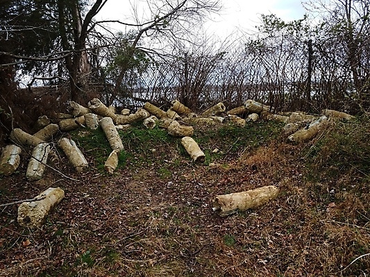 포토 JPG 해외이미지 사람없음 금속 쓰레기 폐기물 사인 시멘트 봉 무거움 옛날 해외포토 재질 무게 파일형식 이미지허브