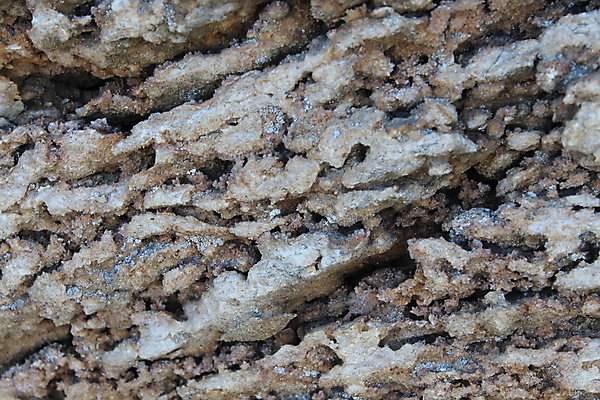 포토 JPG 해외이미지 호수 모래 백그라운드 패턴 자연 하늘 산 건조 이집트 풍경 사람없음 환경 일몰 흙 사막 흰색 땅 질감 소금 내추럴 땅바닥 해외포토 컬러 무늬 아프리카 바닥 노을 생태계 파일형식 이미지허브