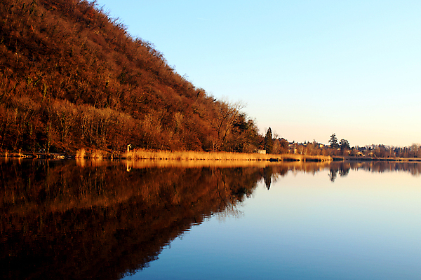 포토 JPG 해외이미지 나무 실루엣 호수 겨울 자연 하늘 표면 산 풍경 경사 사람없음 옆모습 가로 물 파란색 반사 평화 환경 황혼 이탈리아 플랫 알프스 장면 대칭 해외포토 자연요소 식물 계절 유럽 뷰포인트 컬러 컨셉 촬영기법 일몰 생태계 파일형식 이미지허브