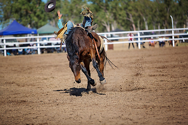 포토 JPG 해외이미지 동물 남자 밧줄 스포츠 포즈 모션 부츠 이벤트 사람없음 달러 점프 가축 경쟁 경기장 공연 시골 자신감 거친 승마 카우보이 호주 승차 주식 위험 속도 먼지 로데오 라이더 서쪽 어려움 오지 해외포토 감정 줄 신발 컨셉 돈 스포츠시설 사람 금융 오세아니아 방향 파일형식 이미지허브