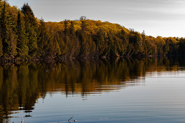 포토 JPG 해외이미지 나무 호수 파도 캐나다 자연 호텔 휴식 풍경 사람없음 야외 빨간색 물 여름 파란색 노란색 평화 침묵 소리 가을 황무지 숲 크리스탈 시골집 방패 여관 10월 깊이 수평선 해외포토 자연요소 식물 계절 바다 컬러 컨셉 북아메리카 숙소 주택 날짜 광석 생태계 파일형식 이미지허브