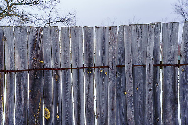 포토 JPG 해외이미지 나무 식물 디자인 선 벽 백그라운드 패턴 표면 날씨 사람없음 야외 목재 장식 가로 세로 울타리 정원 어둠 줄무늬 시골 못 판넬 거친 균열 널 가난 버리기 폐허 질감 다리찢기 내추럴 수목 옛날 해외포토 컨셉 무늬 재료 모션 담장 공구 파일형식 이미지허브