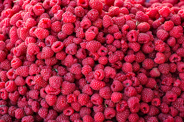 포토 JPG 해외이미지 열매 음식 백그라운드 잎 패턴 다이어트 과일 재료 자연 탁자 딸기 디저트 건강 사람없음 목재 빨간색 초록색 파란색 컬러풀 정원 활발 흰색 신선 그룹 달콤 맛 유기농 질감 날것 산딸기 내추럴 고립 숙성 채식주의자 많음 해외포토 나무 식물 웰빙 컬러 가구 컨셉 무늬 생태계 채식 파일형식 이미지허브