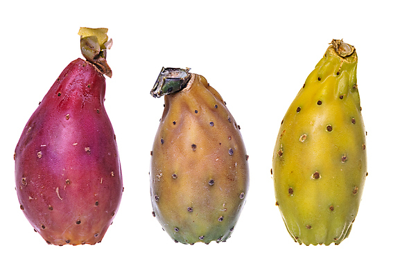 포토 JPG 해외이미지 식물 꽃 음식 백그라운드 오렌지 과일 자연 선인장 건강 사람없음 빨간색 초록색 세트 컬러풀 노란색 이탈리아 흰색 신선 그룹 자르기 지중해 먹기 흰배경 날것 무화과 내추럴 고립 숙성 이국적 채식주의자 비건 해외포토 유럽 바다 컬러 모션 생태계 채식 파일형식 이미지허브