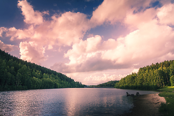포토 JPG 해외이미지 나무 호수 여행 오렌지 자연 하늘 아침 날씨 풍경 사람없음 야외 빨간색 물 여름 빛 강 컬러풀 햇빛 반사 노란색 평화 일출 환경 황혼 일몰 새벽 황금 저녁 천국 수평선 해외포토 주간 자연요소 식물 계절 컬러 컨셉 과일 태양 노을 야간 생태계 파일형식 이미지허브