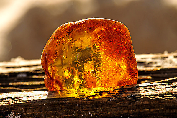 포토 JPG 해외이미지 자연 사람없음 빛 주황색 투명 보석 화석 앰버 해외포토 컬러 광석 생태계 파일형식 이미지허브