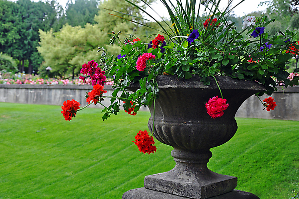 포토 JPG 해외이미지 나무 식물 공원 꽃 꽃무늬 자연 잔디 사람없음 야외 초록색 정원 꽃병 봄 컨테이너 시멘트 해외포토 계절 공공시설 산업 컬러 무늬 생태계 파일형식 이미지허브