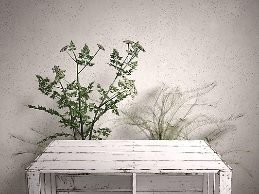 포토 JPG 해외이미지 디자인 벽 가구 백그라운드 탁자 표면 추상 선반 사람없음 내부 목재 장식 빛 3D 우주 공백 전시 방 수확 흰색 시골 신선 상품 정상 계산대 책상 질감 복고 만들기 내추럴 옛날 해외포토 나무 컬러 생활용품 무늬 농업 재료 모션 디지털합성 파일형식 이미지허브