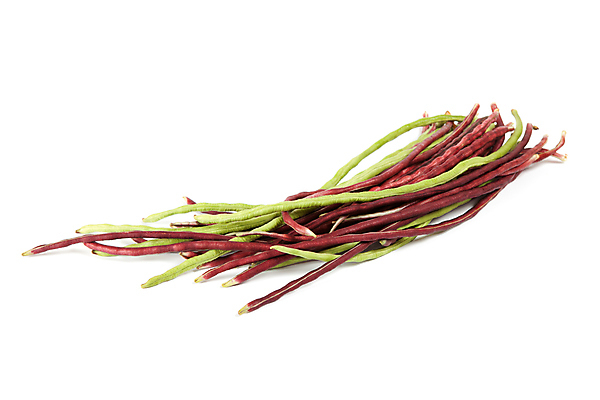 포토 JPG 해외이미지 식물 음식 농업 채소 자연 콩 건강 요리 씨앗 사람없음 초록색 농작물 농장 정원 식사 수확 흰색 신선 뱀 아스파라거스 포도나무 내추럴 꼬투리 해외포토 산업 컬러 파충류 곡류 과일나무 생태계 파일형식 이미지허브