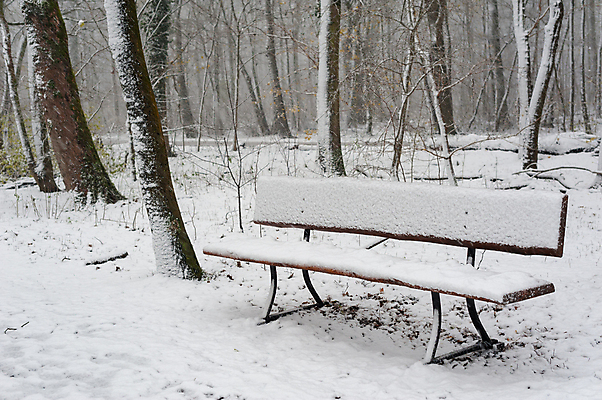 포토 JPG 해외이미지 나무 계절 공원 가구 겨울 벤치 자연 날씨 풍경 사람없음 야외 목재 평화 냉동 얼음 침묵 산책 추위 덮개 흰색 12월 서리 장면 북쪽 1월 고립 폭설 눈내림 해외포토 자연요소 식물 공공시설 컬러 생활용품 컨셉 의자 재료 휴식 눈_날씨 소리 뚜껑 날짜 자연재해 방향 생태계 파일형식 이미지허브